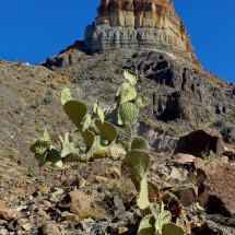 Colorful Goat Mountain